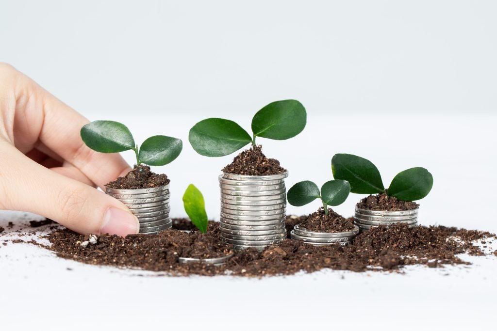closeup shot tiny plants metal containers isolated white scene (1)
