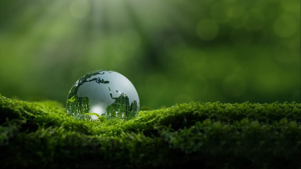 shutterstock 2520497519